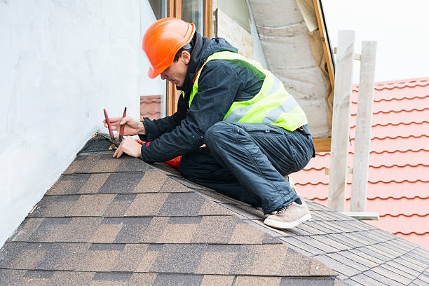 Roof Gutter Cleaning in East Chicago, IN